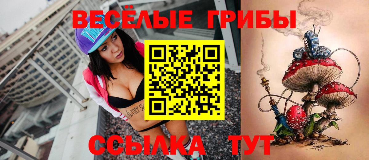 Псилоцибиновые грибы мицелий  Вход с VPN  Дмитров 
